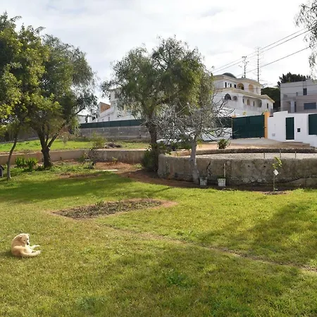 Quinta David