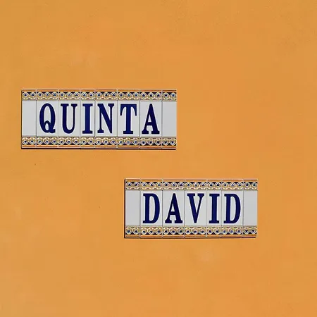 Quinta David