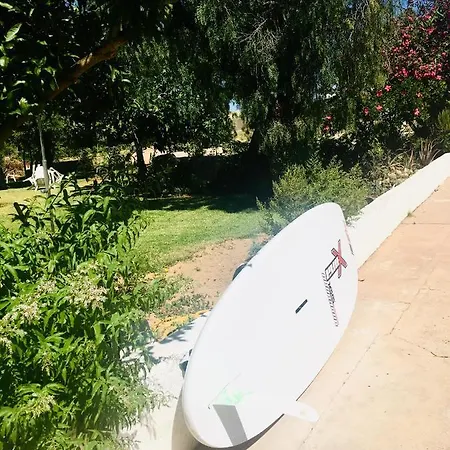 Quinta David